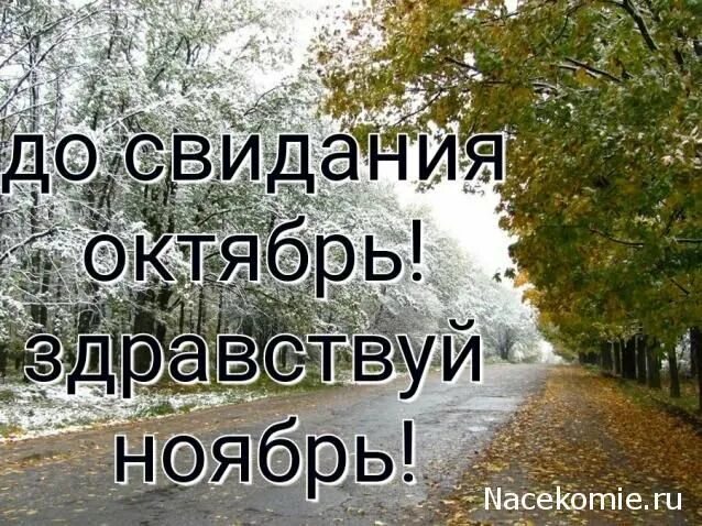 До свидания октябрь доброе утро. До свидания октябрь. прощай октябрь. прощай октябрь здравствуй ноябрь. прощай октябрь стихи.