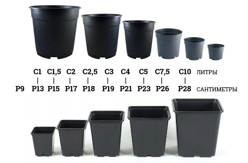 Размеры контейнеров для растений