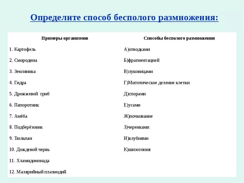 Биология 6 класс формы бесполого размножения схема. Тест бесполое размножение 10 класс. Дрожжевые грибы почкование. Тест бесполое размножение 10 класс. Тест бесполое размножение 10 класс.