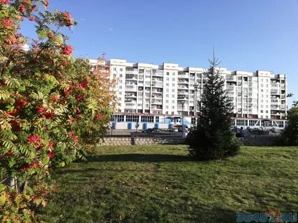 Сайты юрги