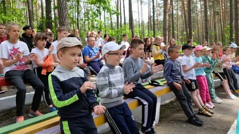 Детский лагерь лесной