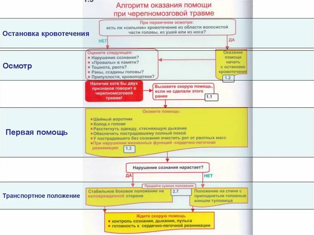 Алгоритм первой помощи при травме головы. Алгоритм при помощи травмы головы. Алгоритм оказания первой помощи при ранении головы. Алгоритм первой помощи при ранении.