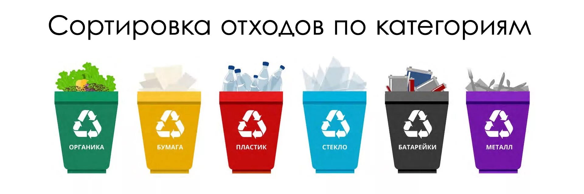 Покажи сортировку