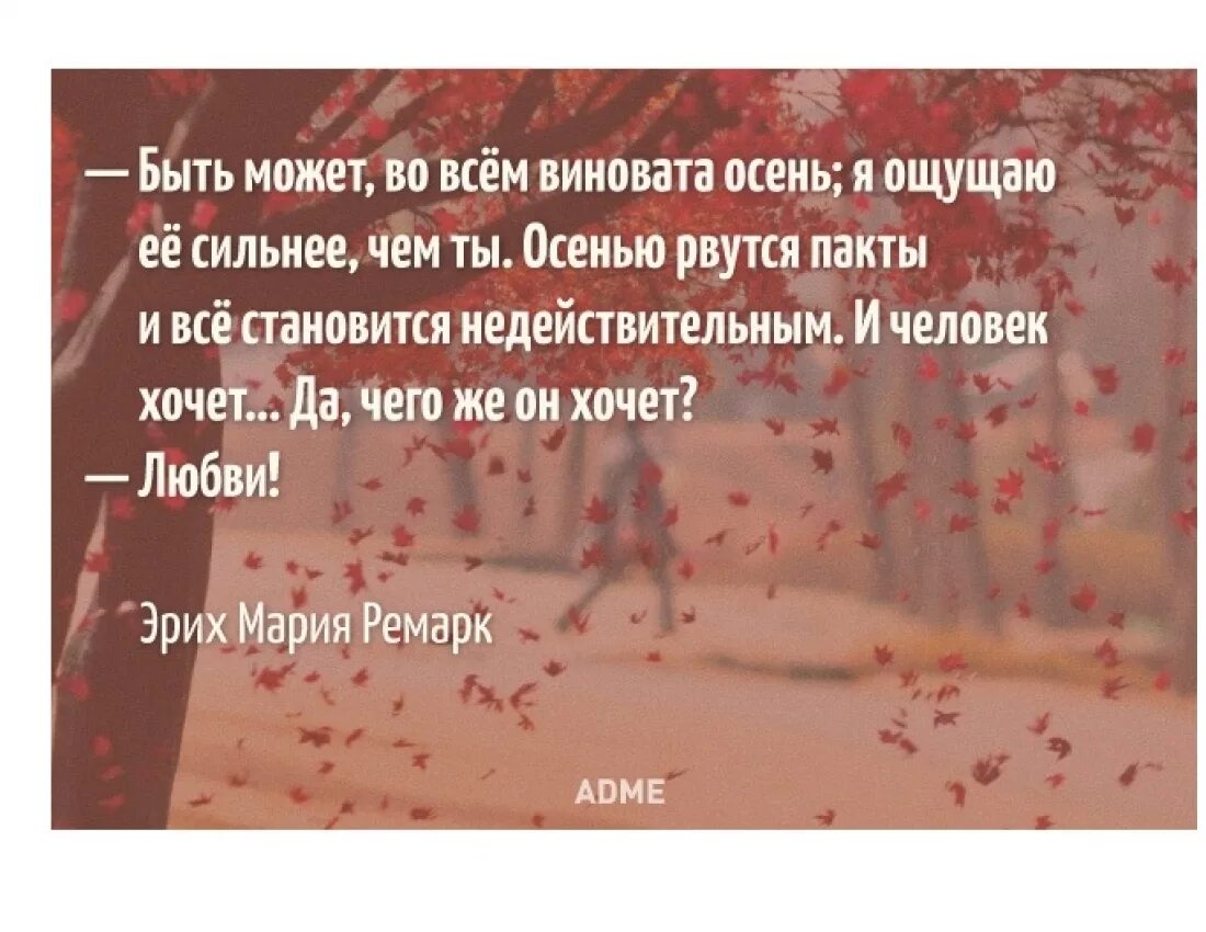 Может во всем виновата осень. Это осень во всем виновата. Ремарк цитаты про осень. Ремарк осенью рвутся все пакты. Виновата осень