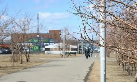 Погода в братске на ноябрь