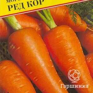 Семена гаршинка интернет. Семена гаршинка интернет