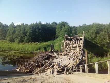 Коношское лесничество