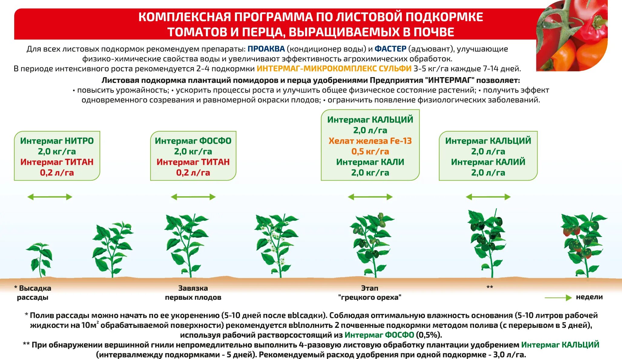 Схема удобрения рассады томатов. Схема удобрения для помидор в теплице. Схема внесения удобрений для томатов в теплице. Таблица подкормки томатов в открытом грунте.