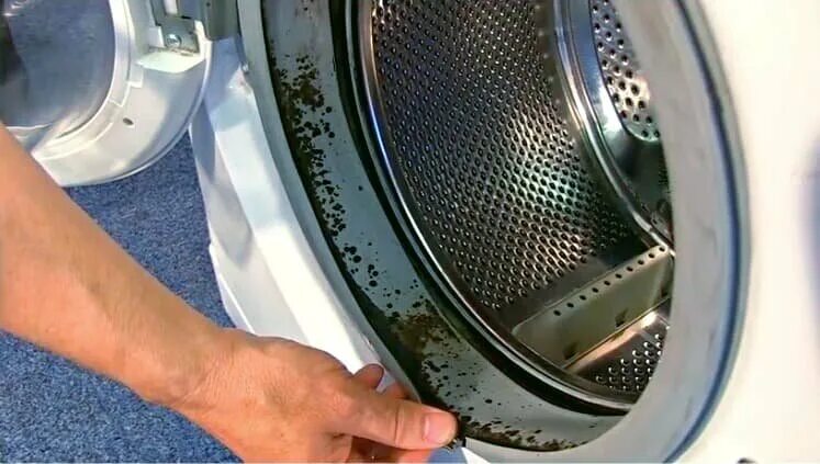 В стиральной машине резинка черная. Манжета барабана стиральной машины Индезит. Стиральная машина автомат манжета люка VLH-7216. Манжета барабана стиральной машины LG.