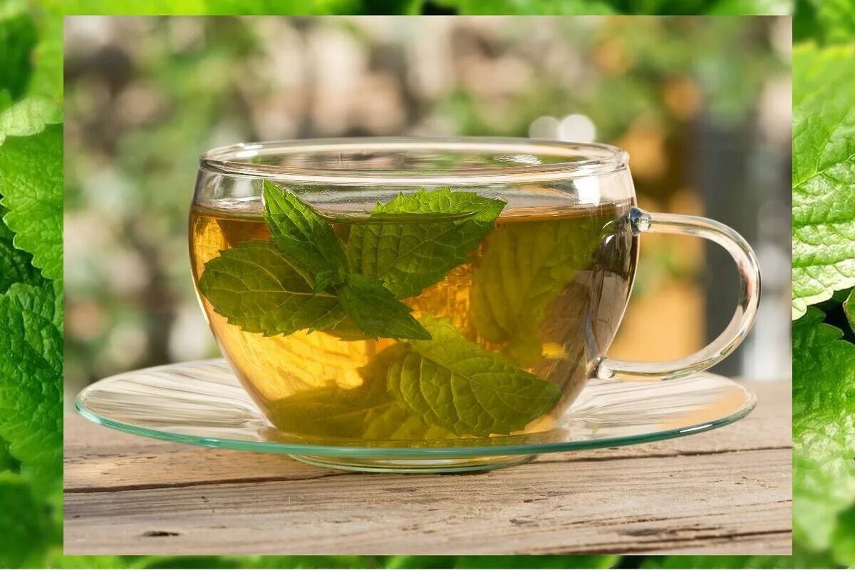 Мята трава чай. Травяной чай Мелиса мята. Мята и зеленый чай. Чай с мятой.