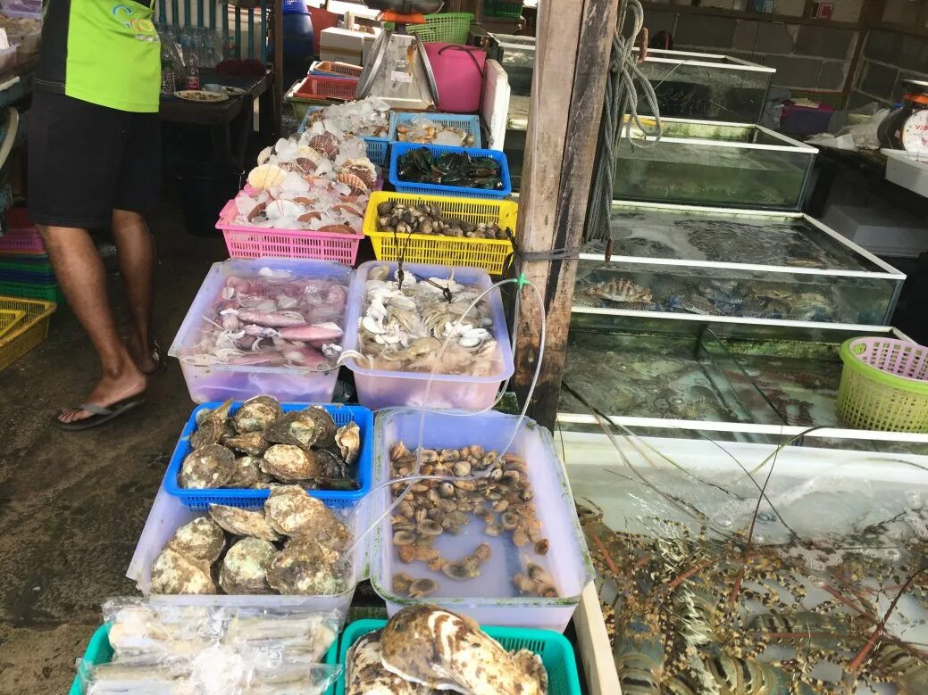 рыбный рынок раваи пхукет. рынок раваи пхукет. рынок раваи пхукет. рыбный рынок раваи пхукет. раваи пхукет рыбный рынок.