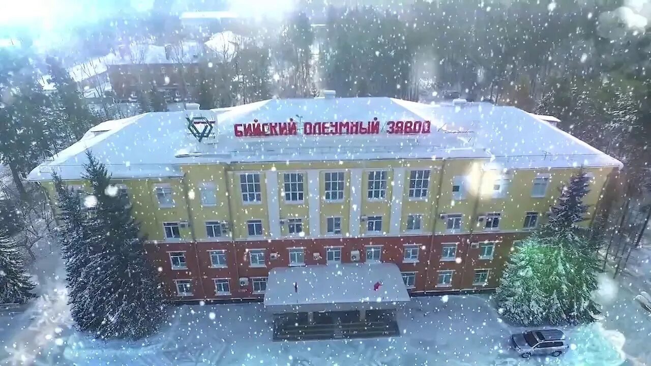 Химэкс плюс бийск. Бийский маслоэкстракционный завод. Олеумный завод бийск. Бийск что производят. Боз бийск.