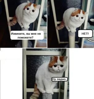 Ладно не буду извини