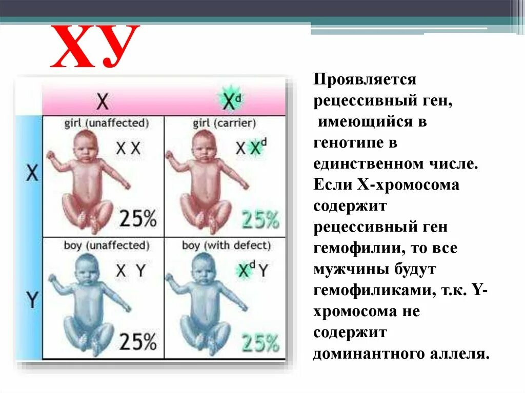 Рецессивный ген. Ген гемофилии рецессивен. Генотип гемофилика. Рецессивный ген проявляется.