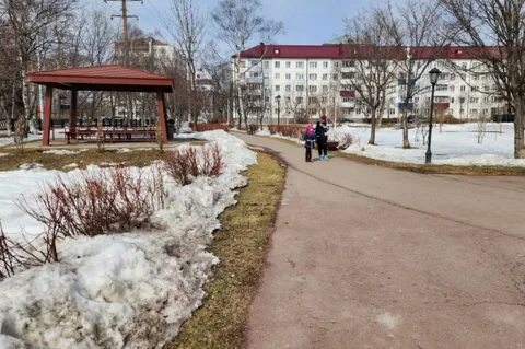 Погода в успенке на 10 дней
