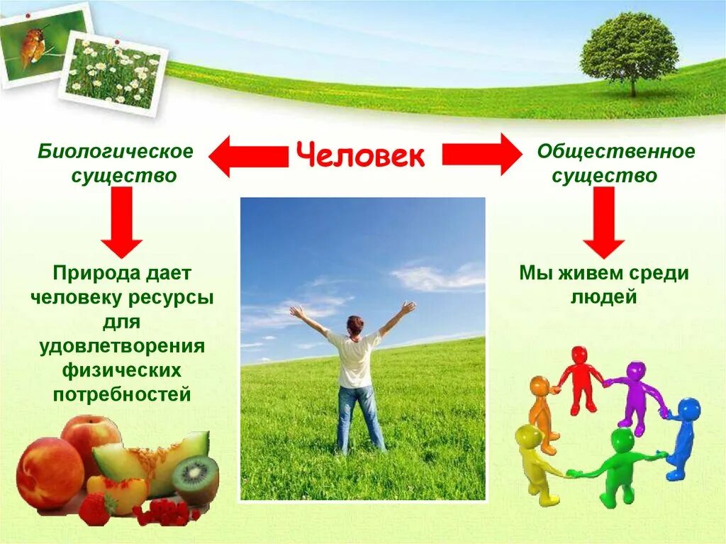 Человек часть общества человек часть природы. Человек и природа Обществознание. Презентация на тему человек природа общество. Биологическое в человеке. Человек и природа человек и общество.