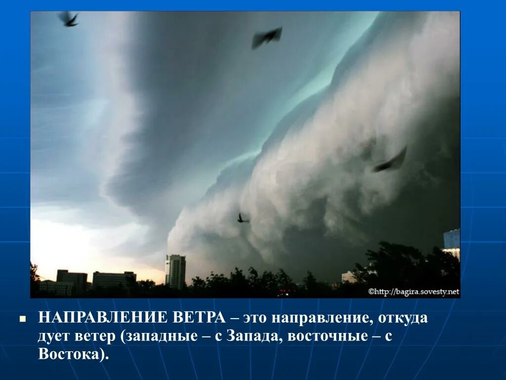 Откуда дует ветер. Откуда дует ветер с Запада. Картинка откуда дует ветер. Откуда дует Западный ветер. Откуда дует воздух