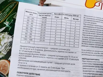 Урсофальк как принимать взрослому до еды или