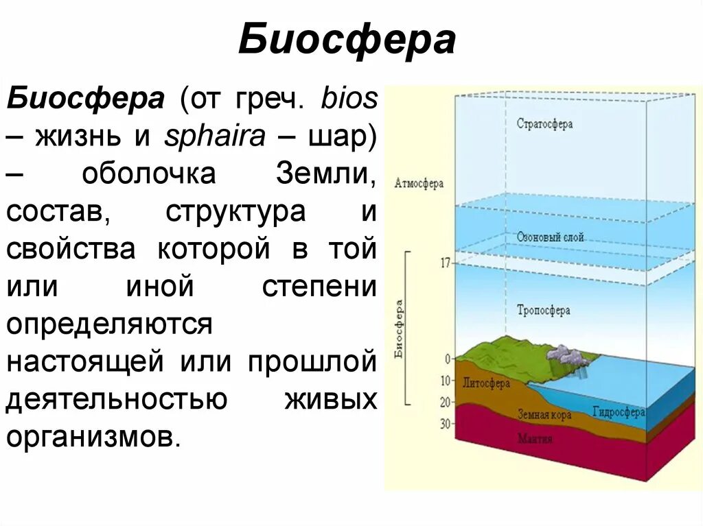 Биосфера Живая оболочка земли 6 класс география. Биосфера и ее составные части. Биосфера Живая оболочка земли 5 класс. Схема живой оболочки земли. 2 биосфера включает