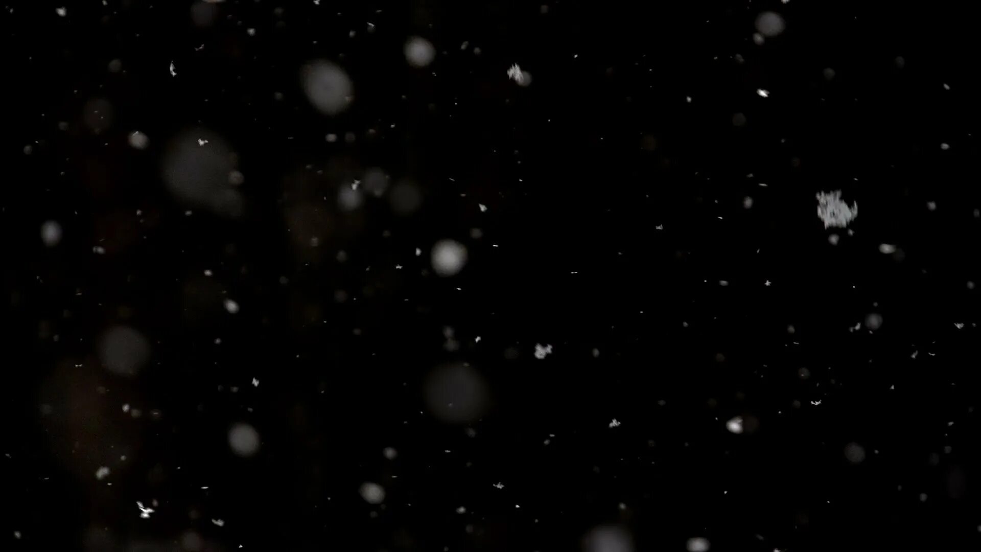 Добавить эффекты снега на видео. Снег гиф. текстура снега для фотошопа. частицы на черном фоне. текстура снега на волосы.
