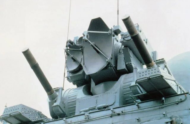 Модуль зрак 3м87 «кортик». Комплекс каштан. Комплекс каштан. Каштан ciws. Комплекс каштан.