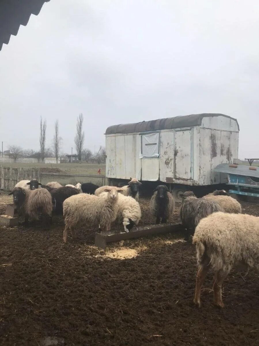 бизнес идеи для села. бизнес на селе. предприниматель в деревне. прибыльный бизнес в деревне. бизнес в деревне.
