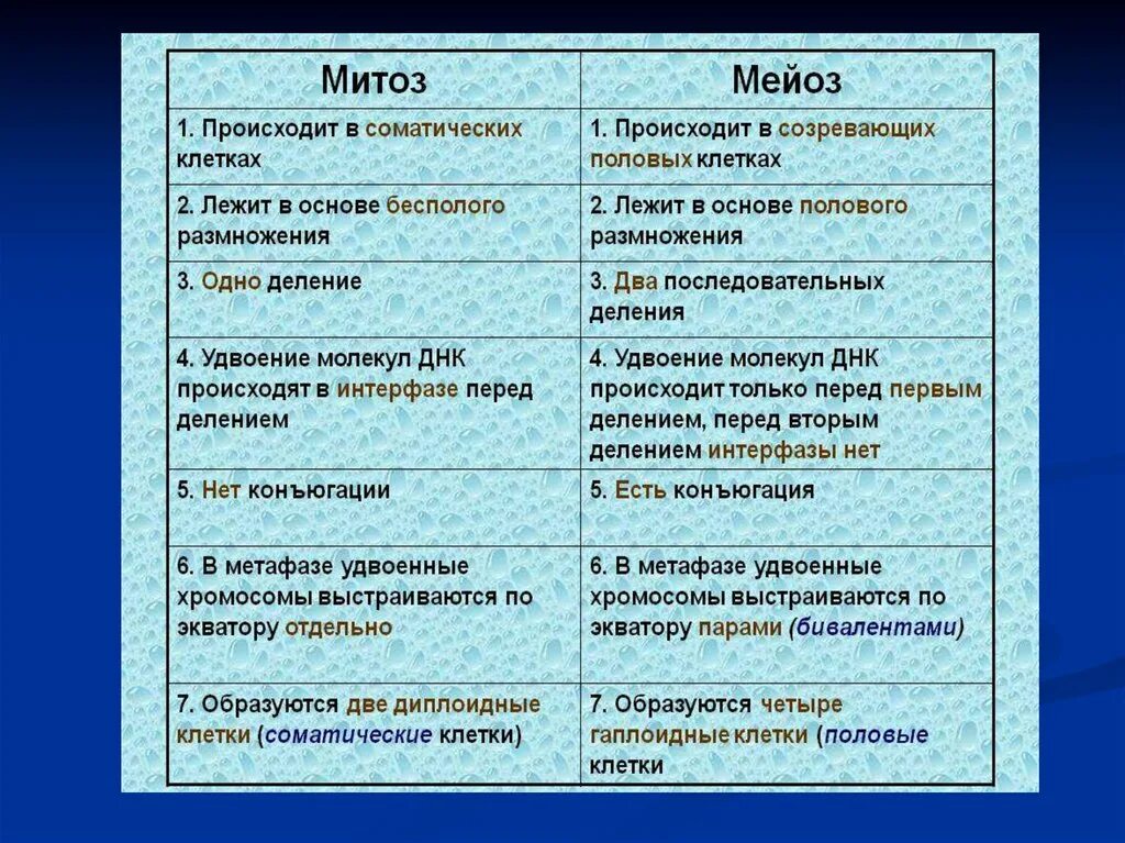 Соматические и половые клетки. Половое деление клетки. Деление соматических и половых клеток. Митоз и мейоз бесполое размножение. Сходство и различие мейоза и митоза таблица