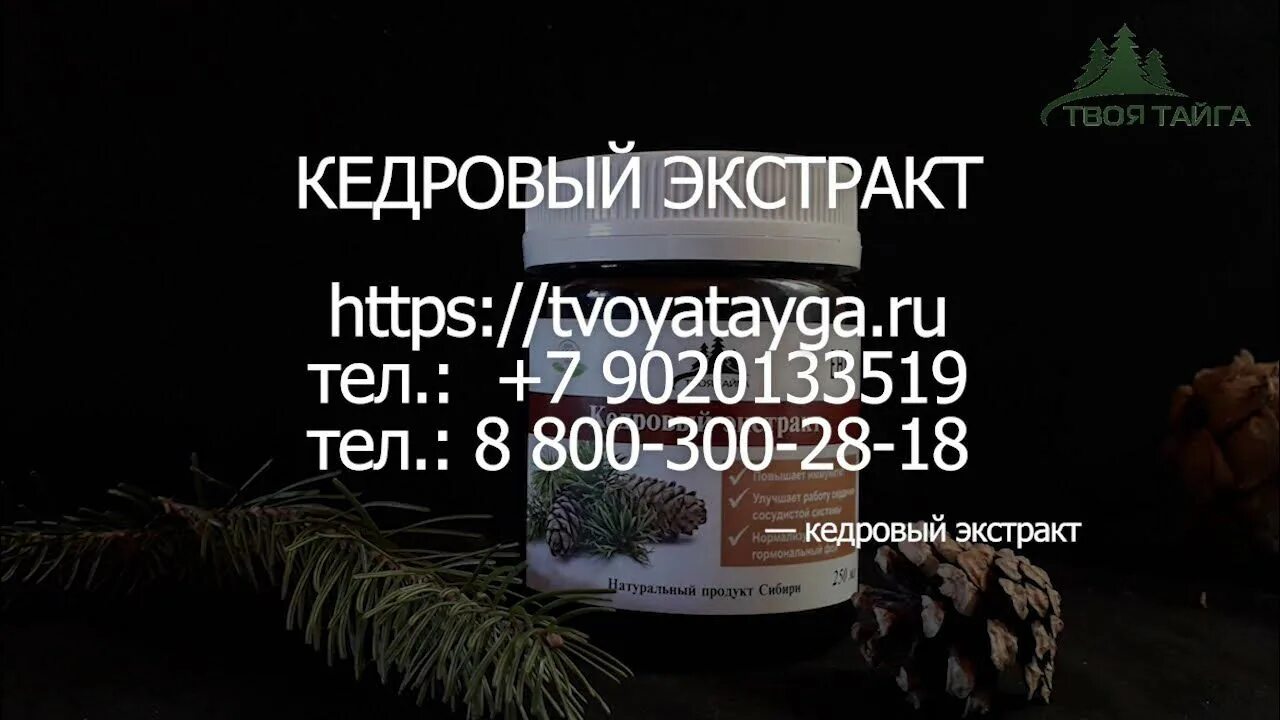 Пихтово-Кедровый экстракт. Твоя Тайга Кедровый экстракт. Твоя Тайга пихтово Кедровый экстракт. Экстракт Кедровый Сибирский. Экстракт кедра для растений