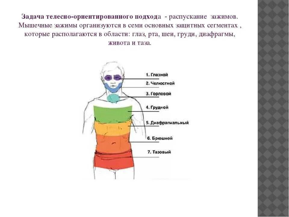 Психосоматика левая сторона у женщин. Мышечные блоки и зажимы. Райх телесно-ориентированная терапия. Райх мышечный панцирь.