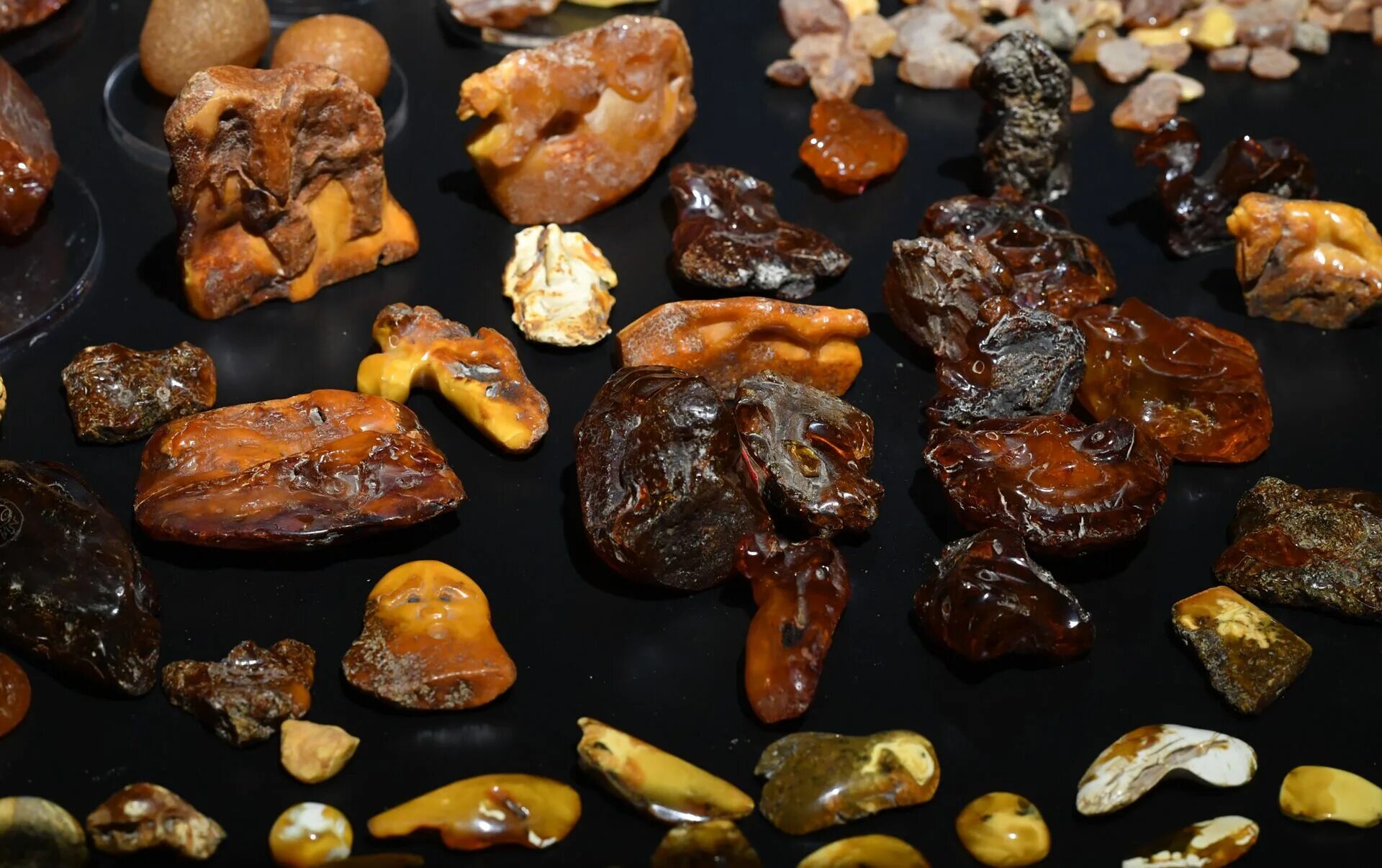 Янтарь в балтийском море. Большой камень янтаря. Enshrouded янтарь. Древний янтарь. 029ч янтарь.