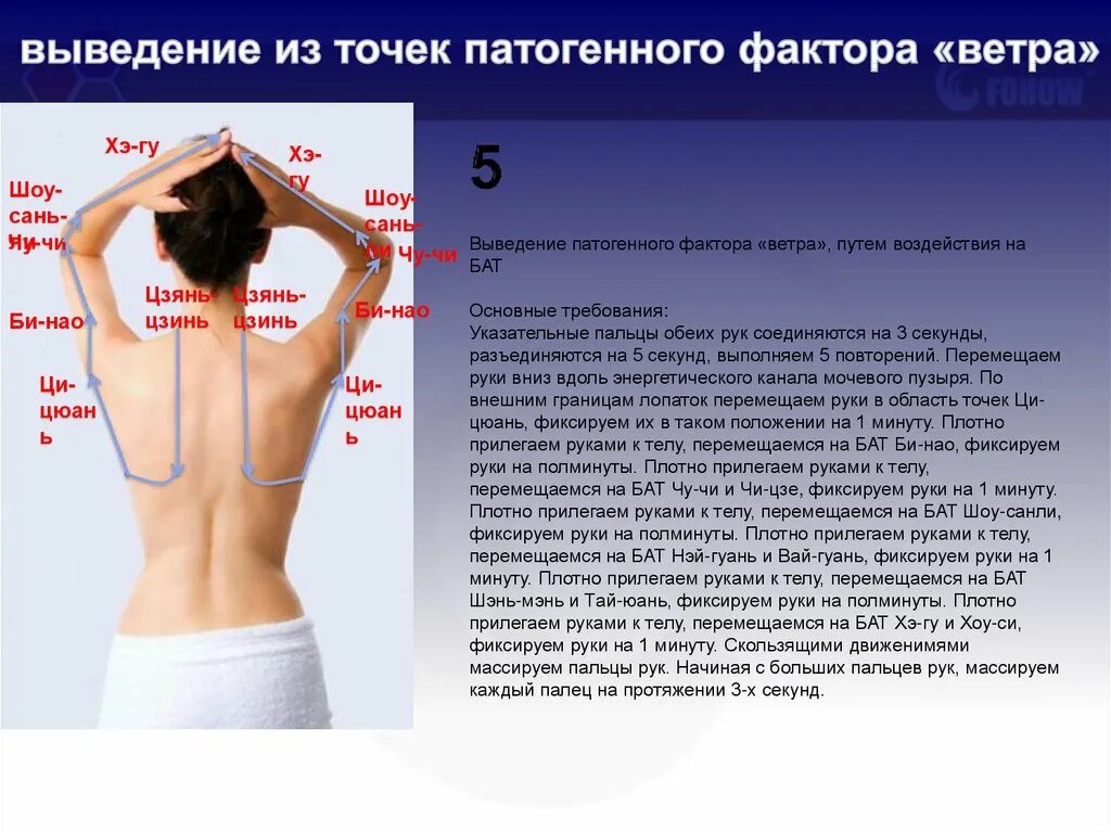 Плотно прилегать к телу. Точки ветра на теле человека. Выведение патогенного фактора ветра. Врата ветра точки. Границы лопатки.