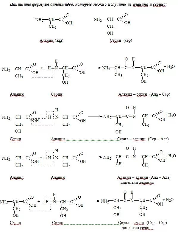Ала ала химия. Аланин и Валин дипептид. Дипептид из глицина и аланина. Дипептид из аланина и метионина. Дипептид из Серина и аланина.