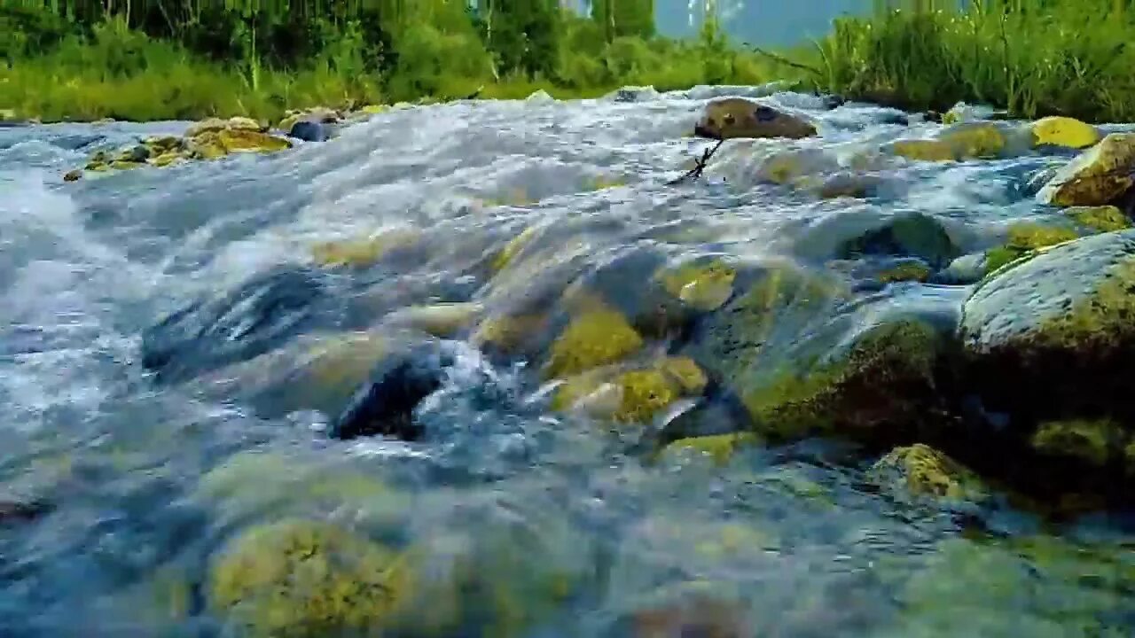 Река шум воды. Шумная река. Шум реки или ручья. Звук природы и течение реки. Картинки шумная река.