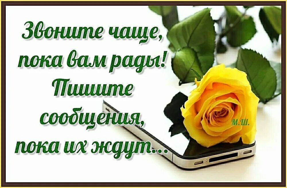 Звоните чаще пока вам рады. Звоните чаще. Звоните чаще пока вам рады пишите чаще пока вас ждут. Звоните чаще пока вам рады пишите. Звоните друзьям песня