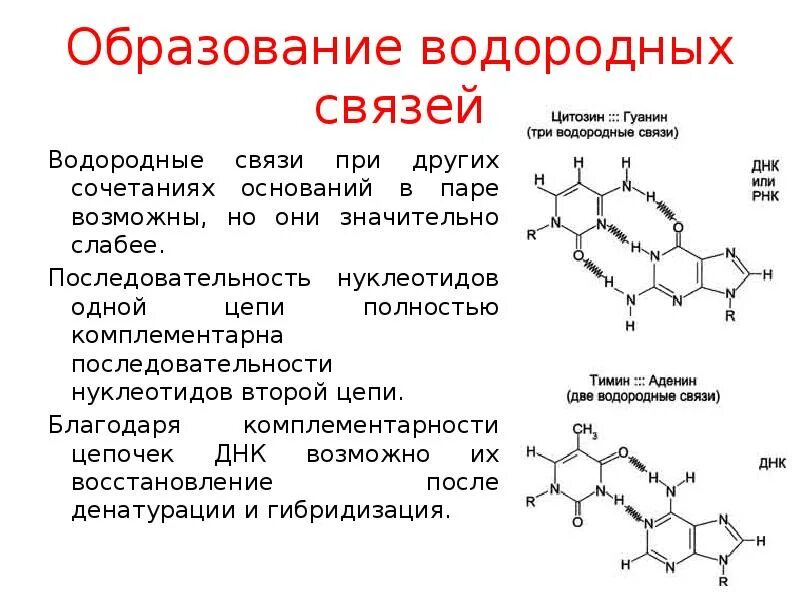Формирование водородных связей