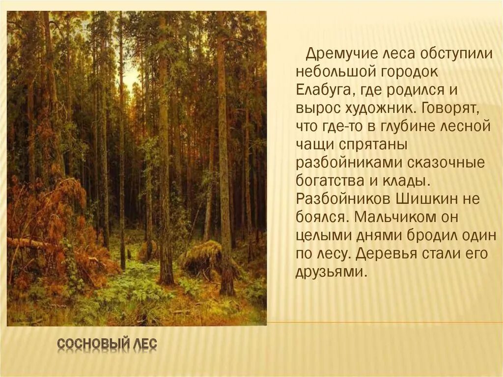 Небольшое описание леса. Рассказ про леса. Лес художественное описание. Текст описание про лес.