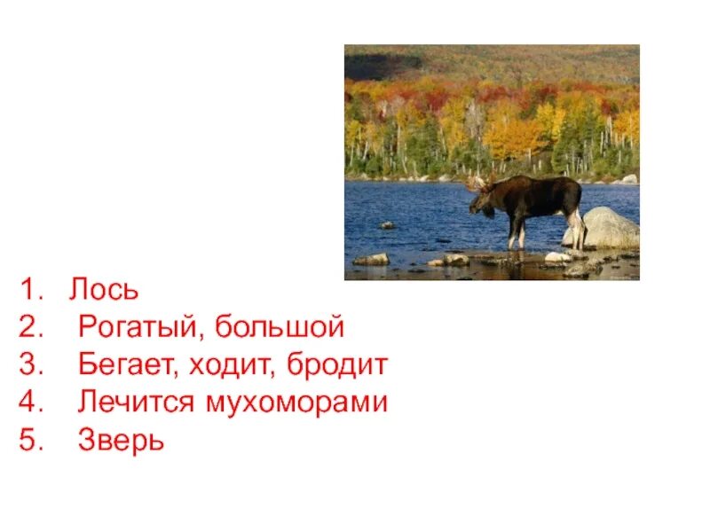 Синквейн про лося. Пришвин лоси. Синквейн на тему лосята. Синквейн к слову Лось.