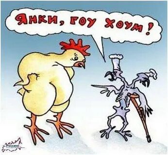 Говорят кур доят