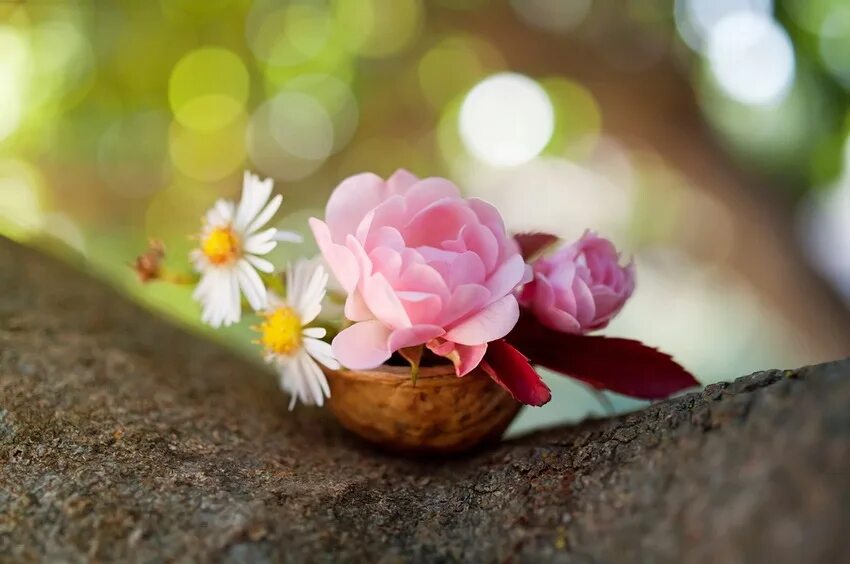 Tiny flower