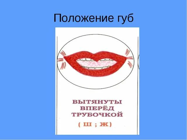 Произношение звука ж. Положение губ. Губы при произношении звуков. Губы при звуке ж. Звук и положение губ.