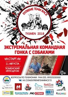 Туту тюмень