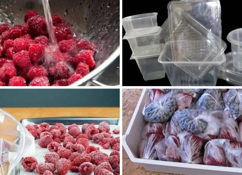 Как лучше сохранить на зиму