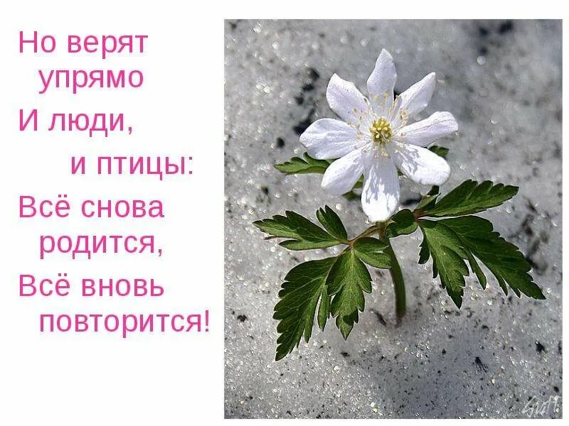 Песня жизнь перевернется все повторится опять