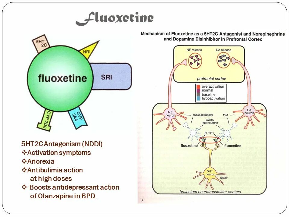 5 ht 2. Функциональный антагонист витамина к. 5ht 1d рецепторы. Антагонисты витамина к. Серотониновые рецепторы ht2.