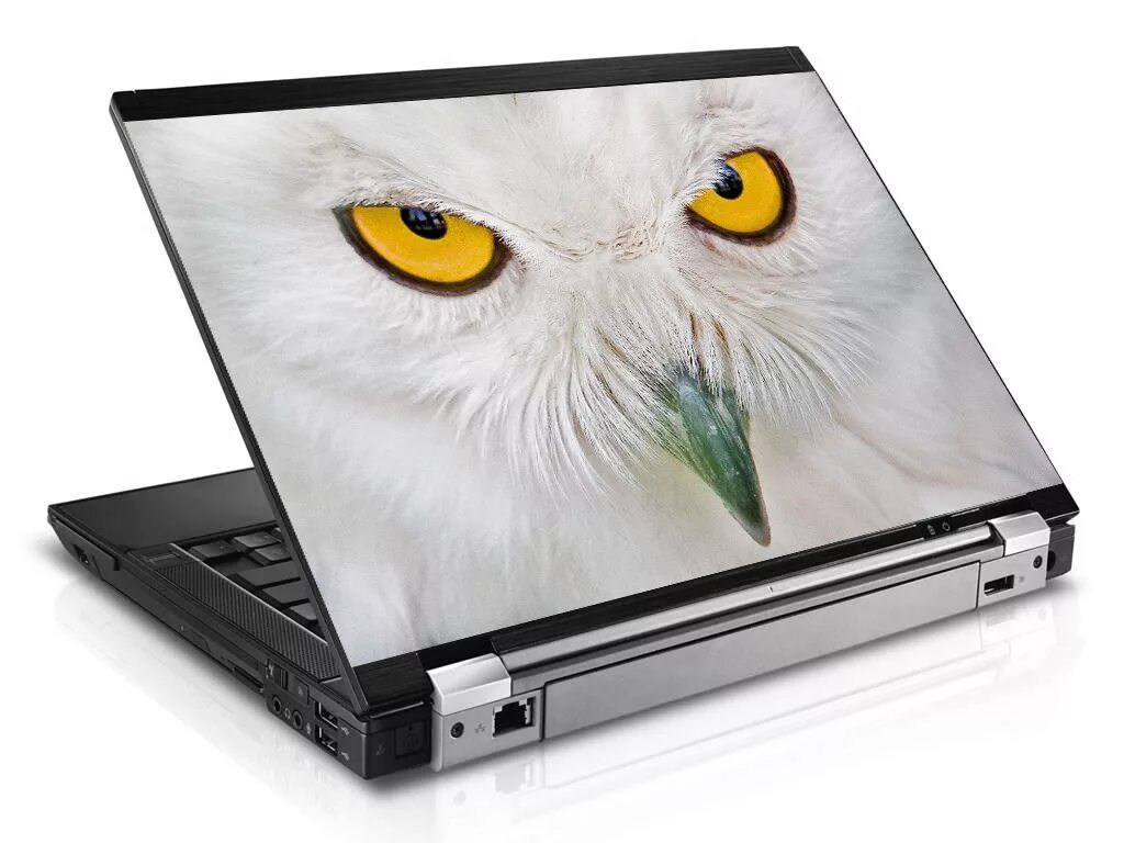 Монитор сова. Наклейка на ноутбук Сова. Сова с ноутом. Сова за ноутбуком. Наклейки на ноутбук Совенок