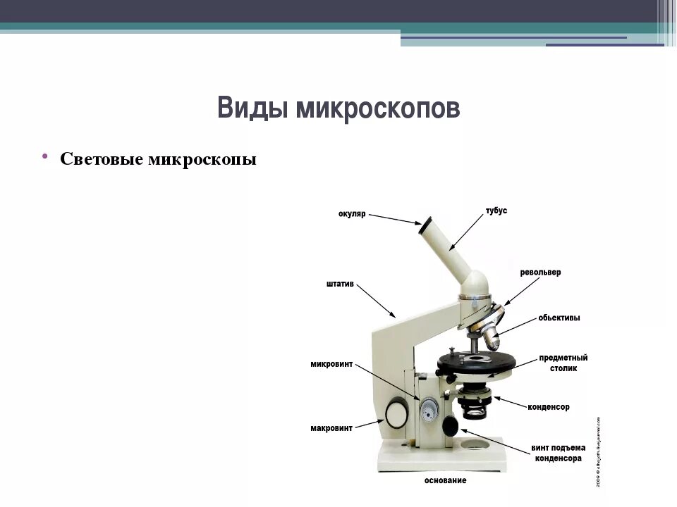 Световой микроскоп Биолам строение. Строение микроскопа 5 класс окуляр. Микроскоп виды микроскопии. Микроскоп как оптический прибор схема.