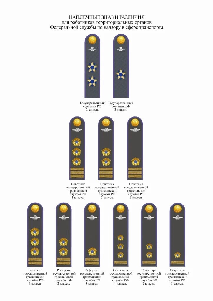 Погоны служащих. Чины государственной гражданской службы РФ погоны Гостехнадзор. Референт государственной гражданской службы РФ 1 класса погоны. Форменная одежда советника ГГС 3 класса. Референт государственной гражданской службы ФССП погоны.