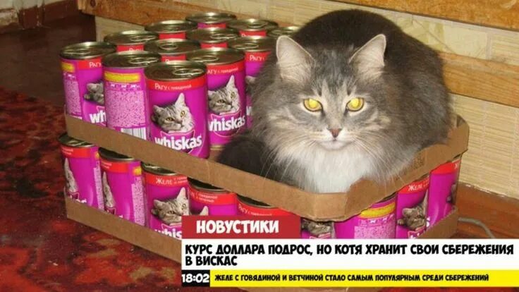 Которые мы заслужили