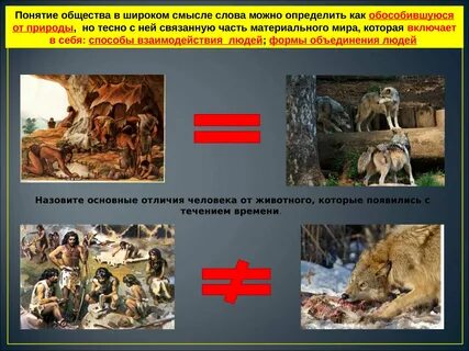 Как распознать природы
