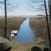 Погода стрельцово на неделю